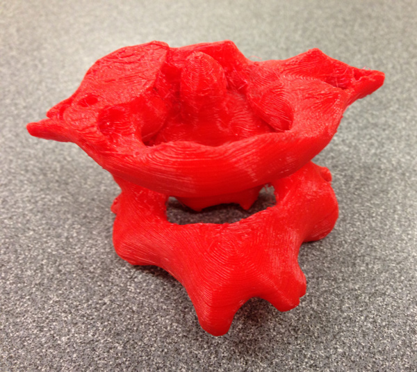 3D Printed Vertebrae
